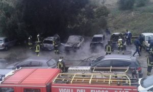 11018782_950137585010691_8634127885677721846_o