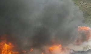 1499016_950137565010693_1662881382018570_o