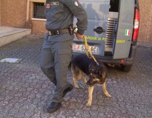 21.04.2015 - stupefacenti1