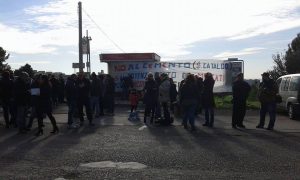 12459546_211208395881411_671338001_n