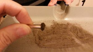 12647330_10206943948510641_6837397420493876784_n