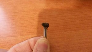 1910519_10206943948710646_2699540883779337504_n