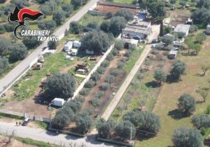 Foto 1 particolare dall'alto della discarica