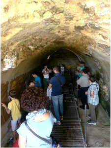 Le Pitture Parietali in Grotta del Paleolitico