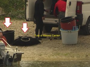 13062785_1546573308972345_912566659_o