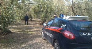 1748945_c587e0_768x410