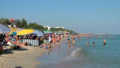 Bandiera Blu 2024 Nanduria Riproduzione riservata