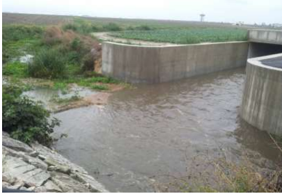 Foggia: campi irrigati con acqua inquinata