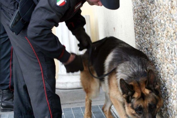 San Marzano di S.G: Carabinieri in casa con Felix e trovano la droga. Arrestato un 30enne.