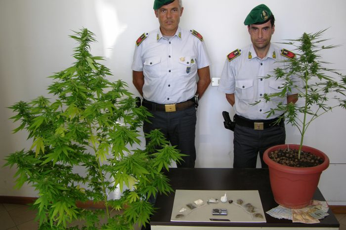 Taranto - Sul balcone di casa pianta di cannabis. Dentro Abala scopre la restante droga