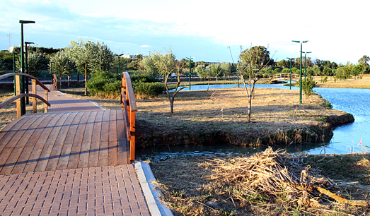 Brindisi: Tutte le iniziative per salvare il Parco del Cillarese