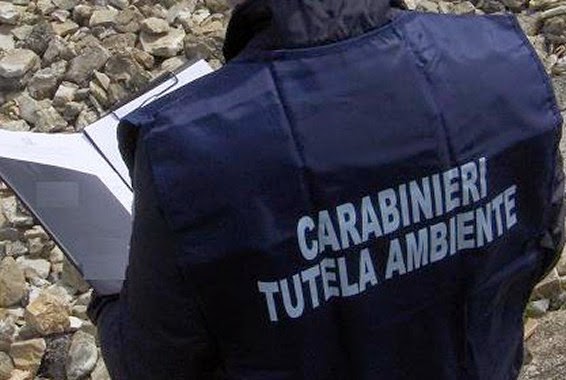 Taranto -I Carabinieri del NOE sequestrano terreno per violazione del vincolo paesaggistico.