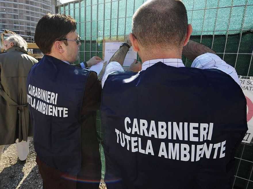 Immagine correlata