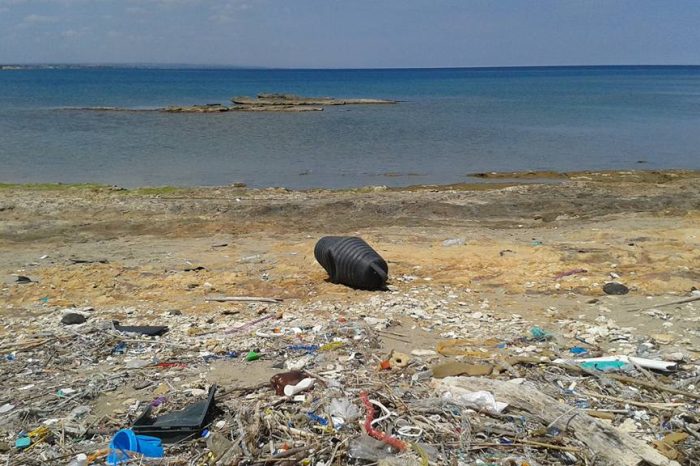 Brindisi- Un "mare" di sporcizia in spiaggia. "Perchè bisogna aspettare sempre luglio per ripulire?"