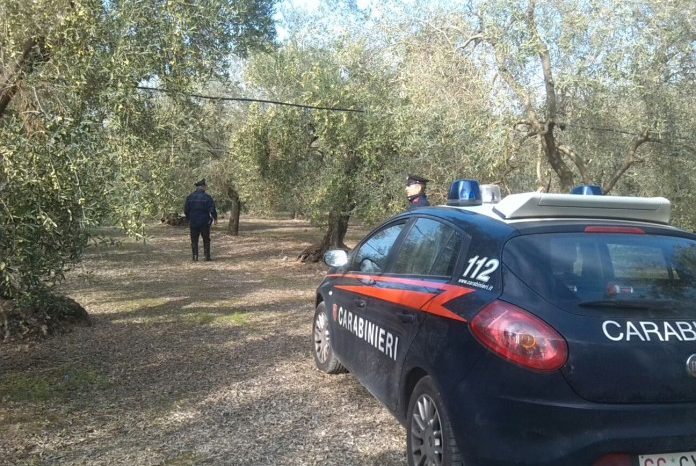BAT – ULTIM'ORA - San Ferdinando di Puglia: Arrestato ucraino che custodiva in un capannone nelle campagne del paese una vasta serie di auto e veicoli rubati in tutta la Puglia