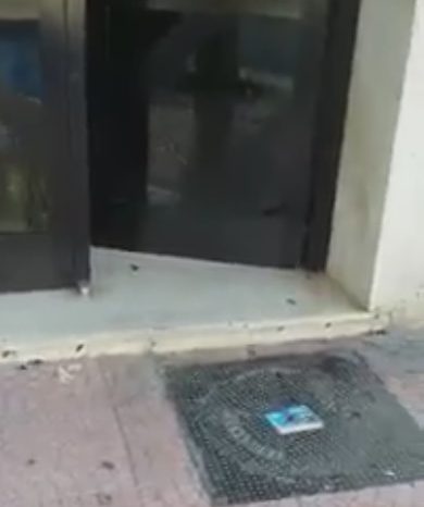 Taranto - Migliaia di scarafaggi in città. Il video denuncia: "Questo è uno schifo!" | VIDEO