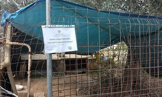 Lecce - Canile-lager in provincia: i cani dormivano tra amianto e sporcizia. Denunciato un 75enne