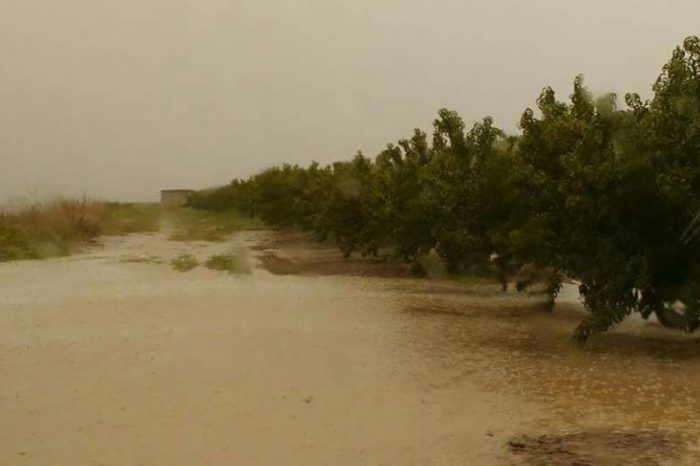 Foggia- San Severo, approvata la richiesta di calamità naturale.