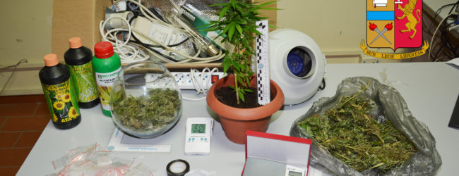 BAT - Marijuana e Cocaina occultati in casa: arrestata