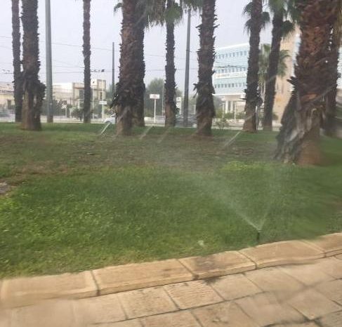 Lecce- Impianti di irrigazione accesi durante il diluvio. "Uno spreco"