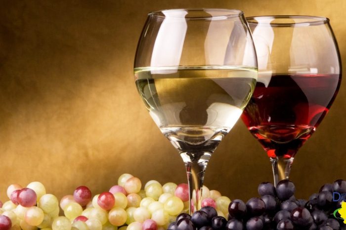 Nasce il Testo Unico del vino, a Foggia la presentazione: una scelta non casuale.