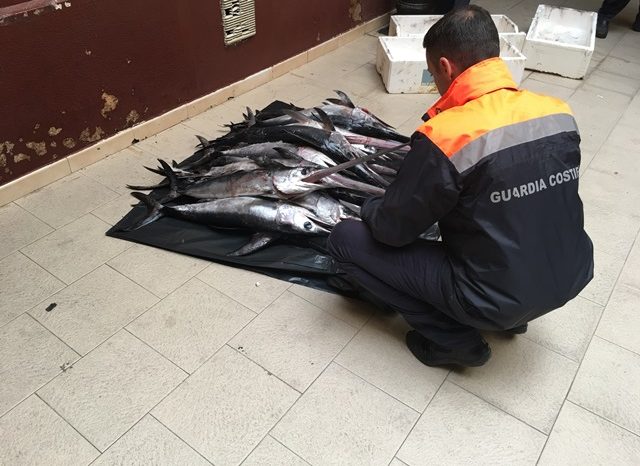 Taranto, banchina Cariati - Grosso sequestro della Guardia Costiera di pesce spada  | FOTO