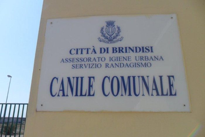 Brindisi- Canile comunale, apre l'ambulatorio veterinario interno