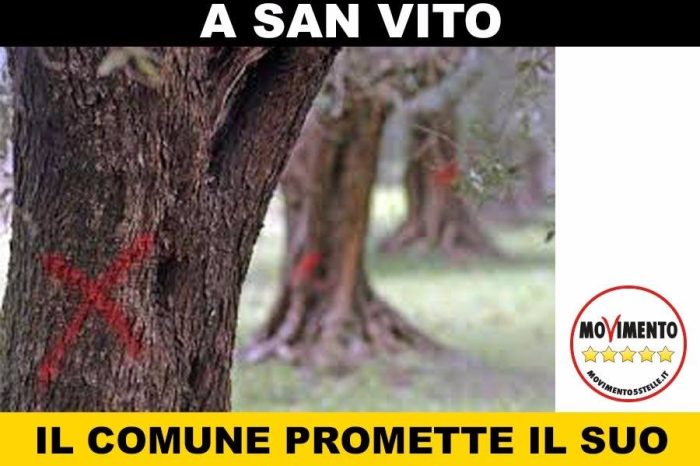 Brindisi- M5S San Vito: "Emergenza Xylella: Il Comune promette il suo impegno"