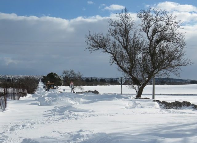 Emergenza neve, la Regione pubblica la stima dei danni