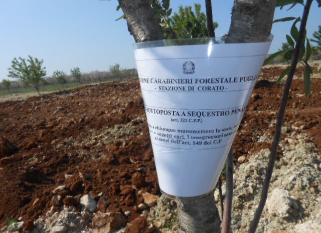 Bari - Ruvo di Puglia: scoperto sito di smaltimento rifiuti illecito, una persona denunciata