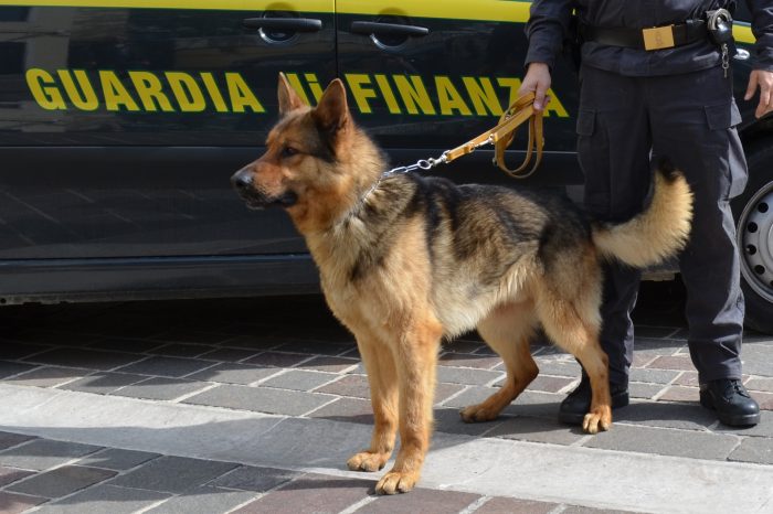 Taranto - Fiumi di droga in città, blitz della Finanza: 10 arresti