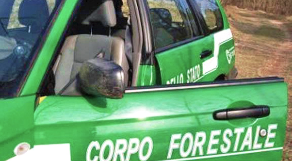 Taranto - Attività antibracconaggio dei forestali: denunciato cacciatore