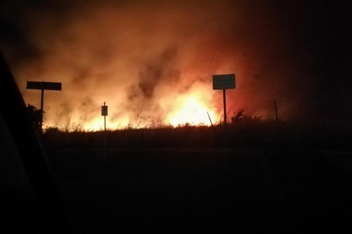 Taranto - Fumo e fiamme nei pressi delle abitazioni. Incendio travolge un terreno di 4 ettari.