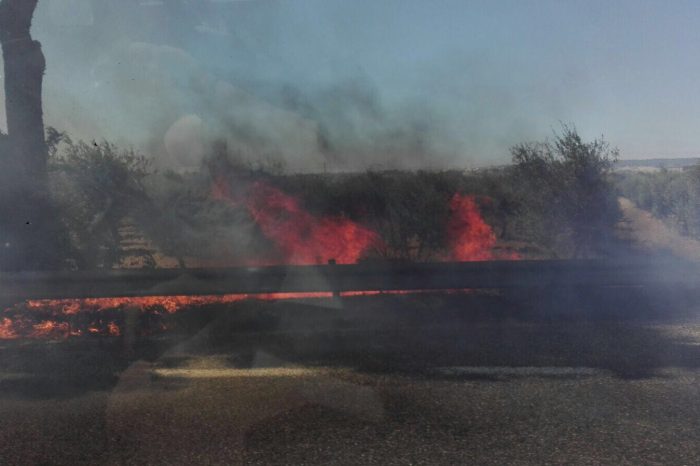 Flash Taranto - Le fiamme raggiungono l'asfalto: terribile incendio sulla statale.