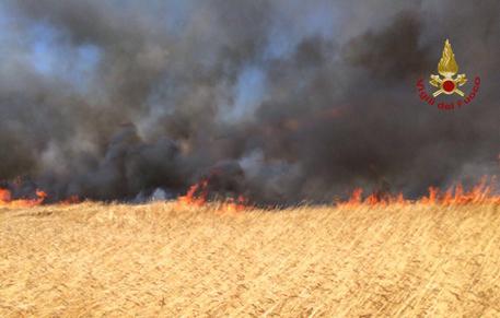 Taranto - Gravissimo incendio. Completamente bruciati 45 ettari della Riserva Naturale.