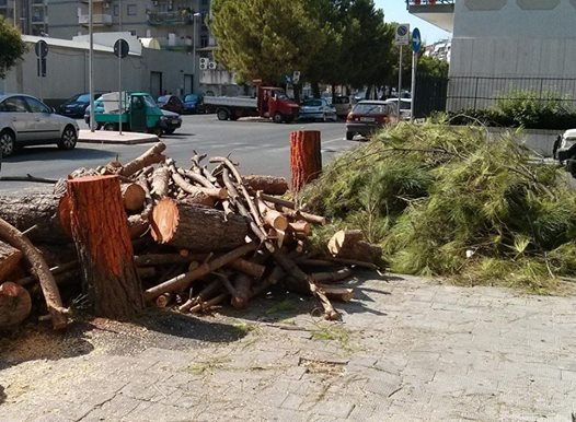 Taranto - Prima l'abbattimento dei pini "mangia smog". Adesso la gettata di cemento del Comune.