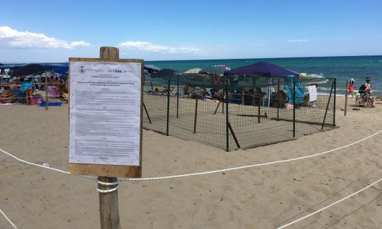Taranto – Fate silenzio o sarete multati: un’ordinanza per proteggere 86 uova di tartaruga.