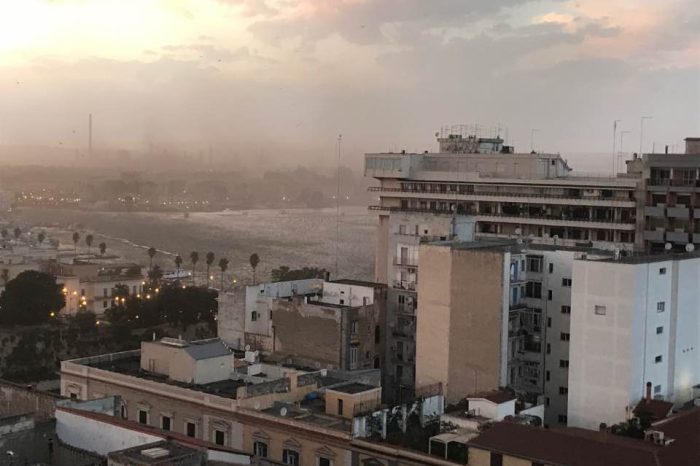 Taranto- Ambiente: inquinamento e bimbi malformati, lo sfogo della presidente ISDE