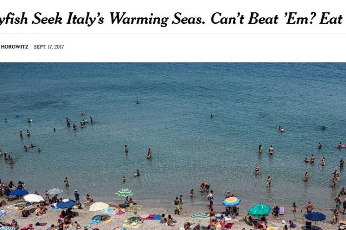 Lecce- Il New York Times racconta la ricerca sulle meduse fatta in UniSalento