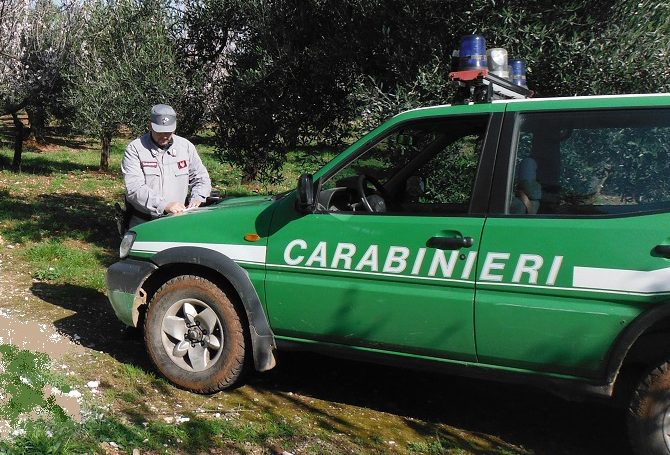 Brindisi- Inizio movimentato della stagione di caccia; sabotaggio e danneggiamento automezzi Carabinieri Forestali