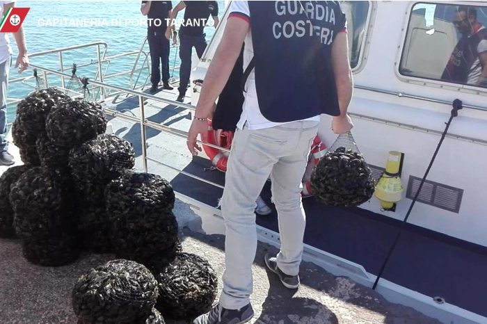Taranto - Guardia Costiera: sequestrati quintali di cozze nocive per la salute.