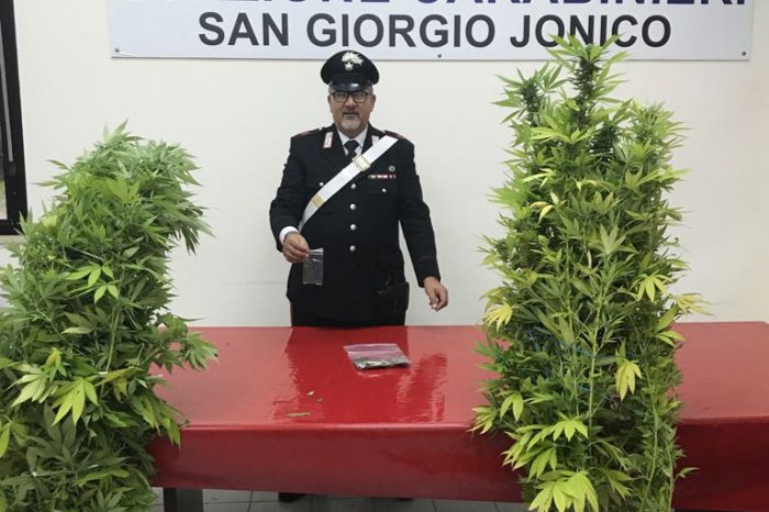 Taranto - Piante di marijuana in giardino e hashish  in casa, così è stato incastrato dai carabinieri