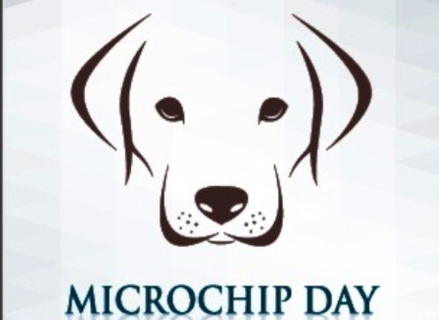 Taranto - Microchip day: iscrizione all'anagrafe canina e applicazione microchip gratuito.