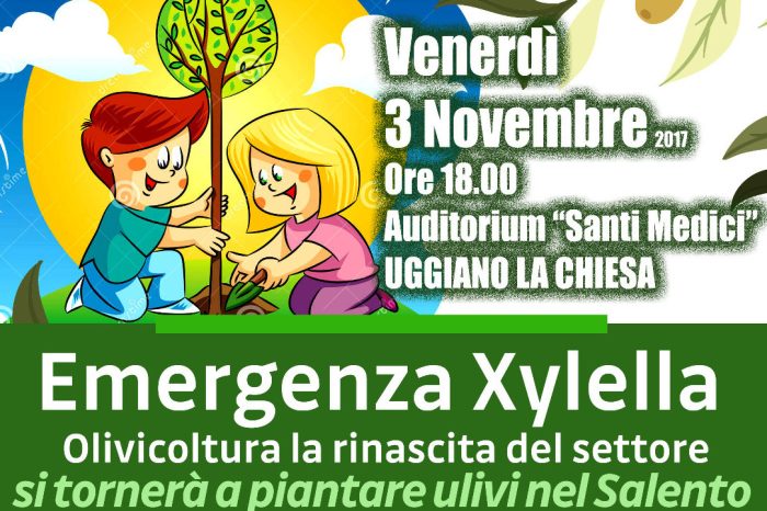 Lecce- Emergenza Xylella: assemblea sul “reimpianto” e al via lo sportello pubblico per la cittadinanza