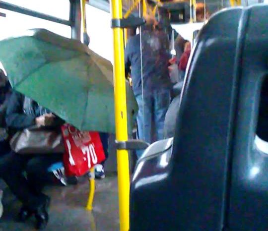 Taranto - Piove dentro i bus Amat, passeggeri a bordo con ombrelli aperti.