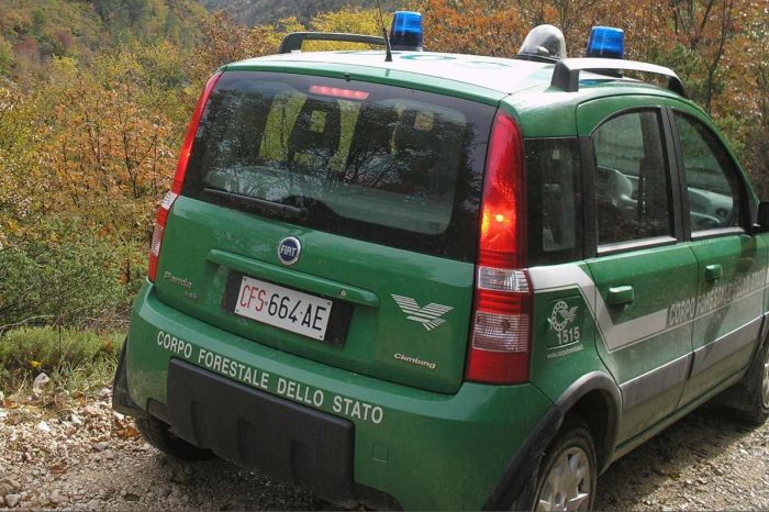 Taranto - Trasformazione abusiva del terreno: carabinieri forestali procedono al sequestro dell'area. Nei guai due persone