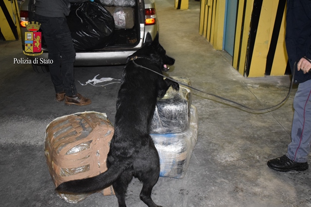 Bari - Operato sequestro da record di stupefacenti grazie al cane Amira