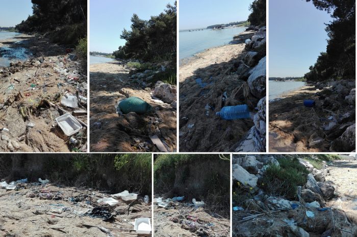 Taranto - Legambiente denuncia: “La plastica ricopre le spiagge del Mar Piccolo.” | FOTO