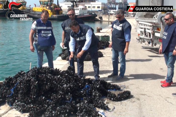 Taranto - Cozze pericolose illecitamente allevate nel 1° seno del Mar Piccolo: nei guai 8 persone