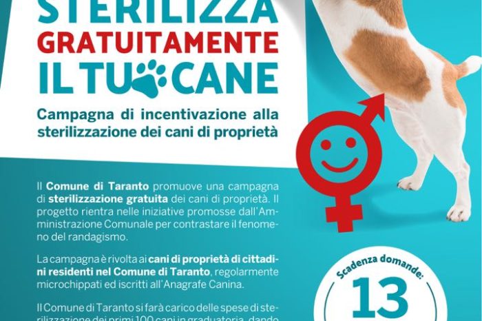 Taranto - Lotta al randagismo: stanziati fondi per sterilizzare i cani di proprietà. Tutte le info